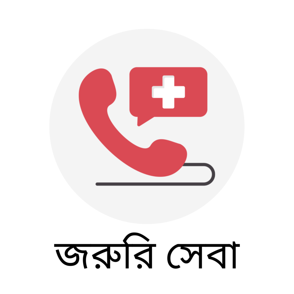 13 20260116 061710 0012